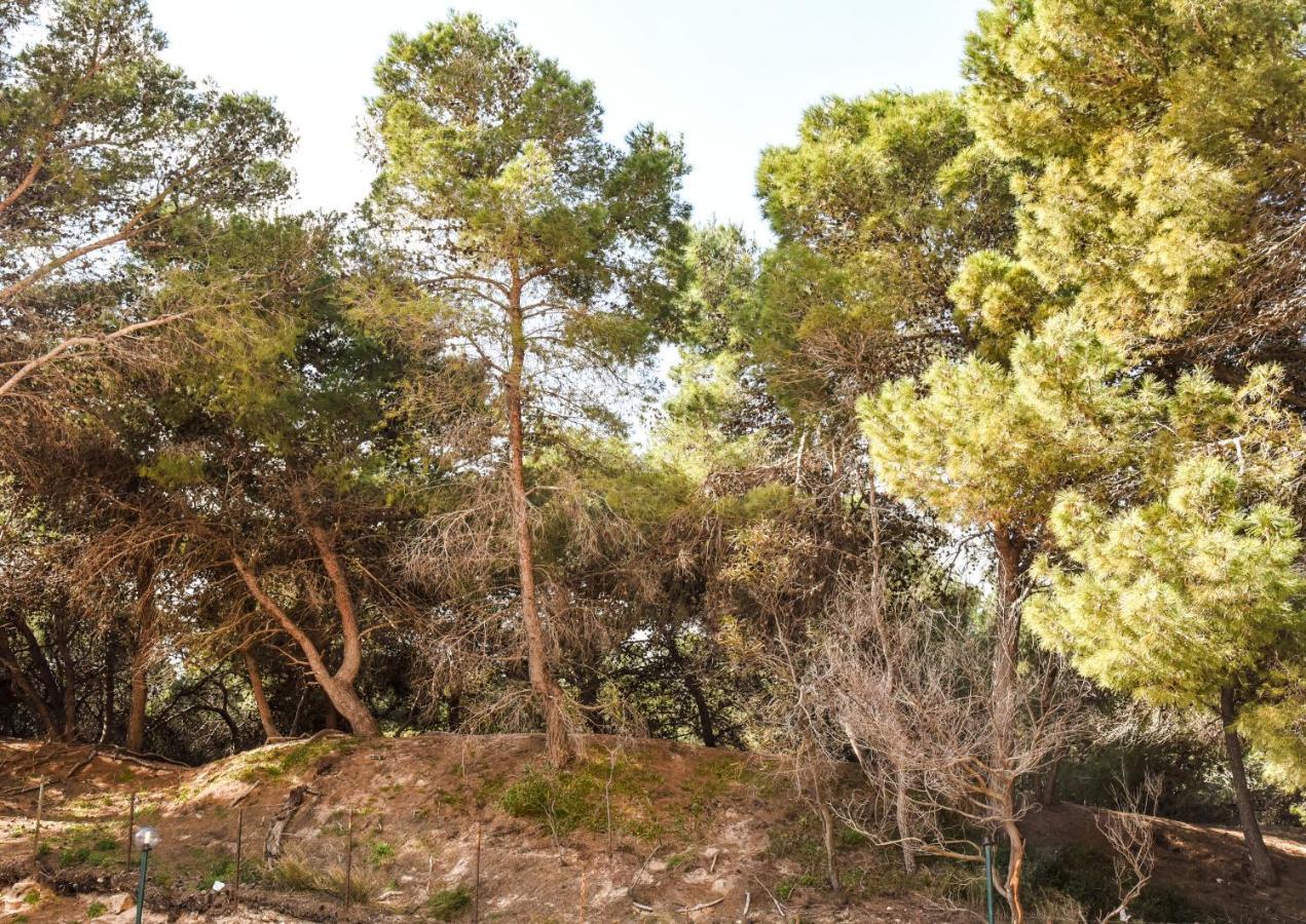 Appartamento Sulla Spiaggia Gallipoli Luaran gambar